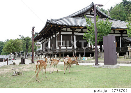 東大寺・法華堂（三月堂）と鹿の風景 2778705