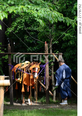 葵祭の飾り馬と新緑 2778792