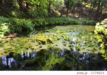 白川水源 白川水源 2779023