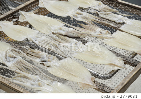 イカの干物 2779031