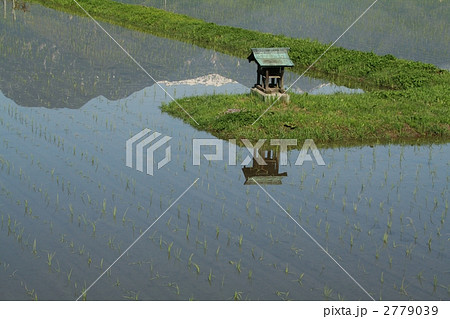 畦と祠 畦と祠 2779039