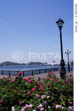 ヴェルニー公園 2780588