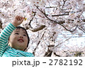 お花見 2782192
