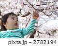 お花見 2782194