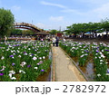 潮来前川あやめ園 2782972