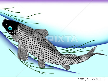 歌川広重 魚づくし 鯉のイラスト素材 [2783580] - PIXTA