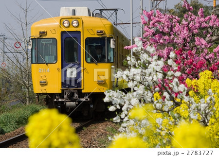 春の一畑電車 春の一畑電車 2783727