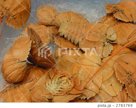 モートンベイバグ モートンベイバグ 2783769