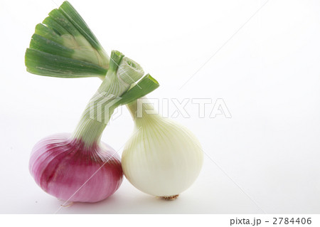 取れ立て赤タマネギと白玉葱 2784406