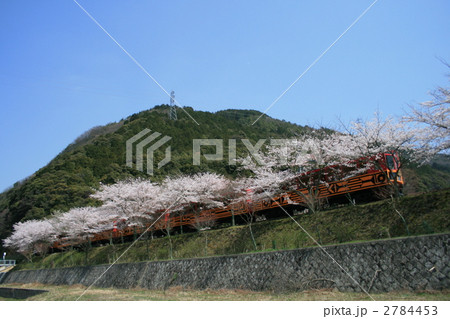 春の嵯峨野観光鉄道 2784453