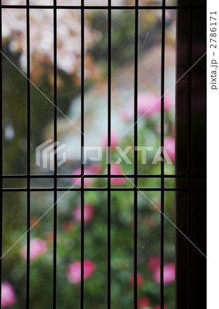 窓際 2786171