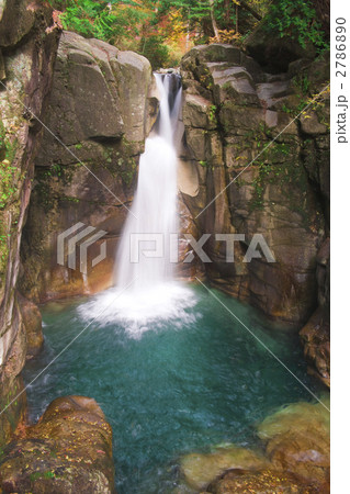 夕森公園　龍神の滝 2786890