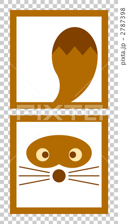 タヌキ たぬき 狸 動物のイラストのイラスト素材