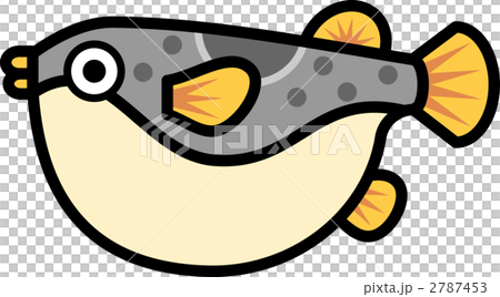 魚のイラスト ふぐ 河豚 フグ さかなのイラスト素材
