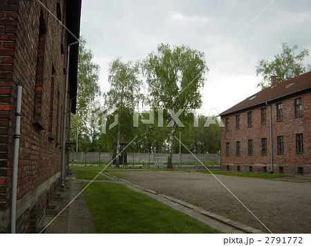 アウシュビッツ 2791772