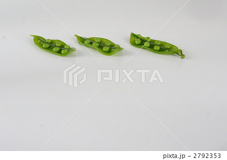 エンドウ豆_スナップエンドウ 2792353