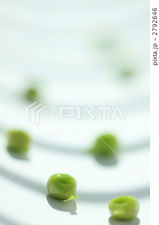 エンドウ豆_スナップエンドウ 2792646