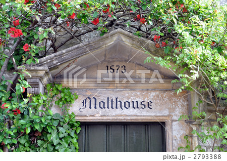 ドアを覆う小花 2793388