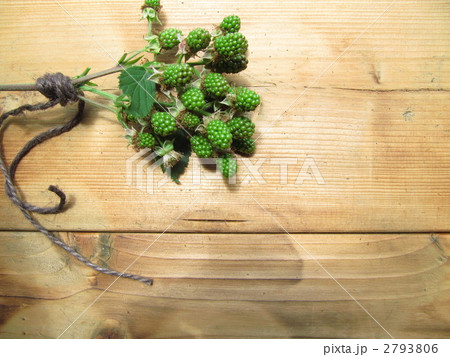 緑の実 緑の実 2793806