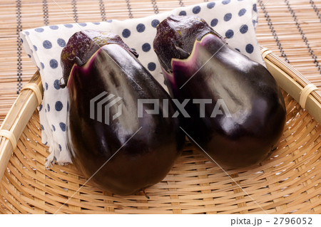 泉州水茄子 2796052