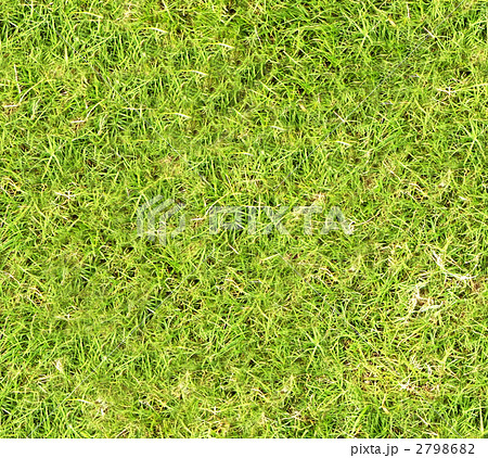 シームレス テクスチャ 芝生の写真素材