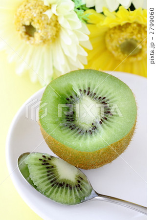 キウィ キウィ 2799060