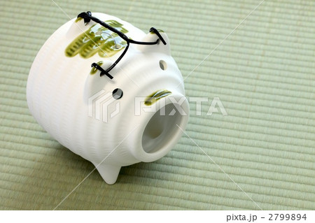 蚊取り豚 2799894