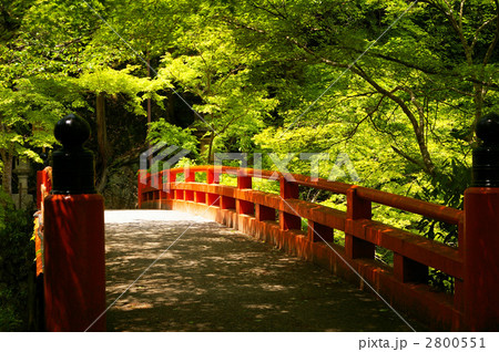 指月橋 指月橋 2800551