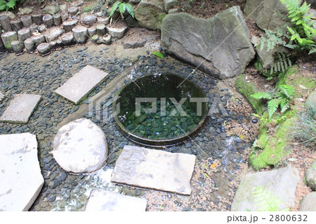 明治神宮御苑 清正井 明治神宮御苑 清正井 2800632