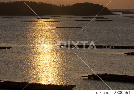 虫明港 虫明港 2800661