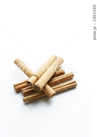 シナモン シナモン 2803389