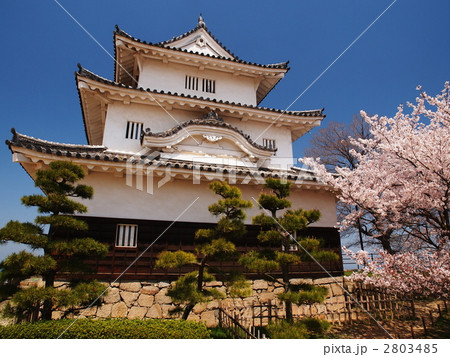 桜咲く丸亀城 2803485