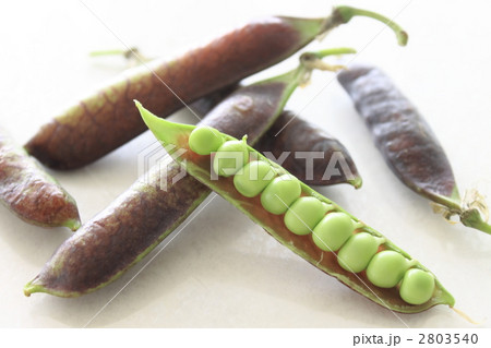 野菜 豆 ツタンカーメンのえんどう豆 野菜 豆 ツタンカーメンのえんどう豆 2803540