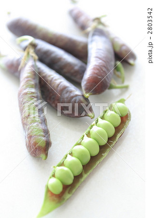 野菜　豆　ツタンカーメンのえんどう豆 2803542