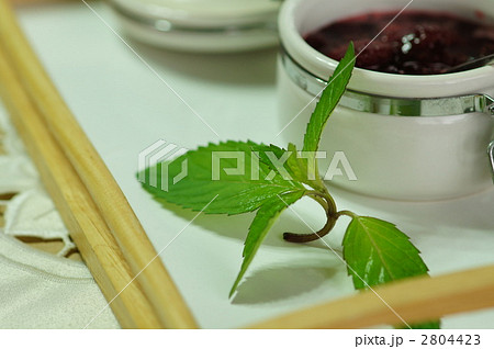 ミントと苺ジャム 2804423