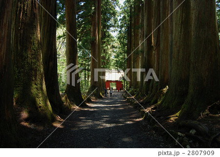 戸隠神社 2807909
