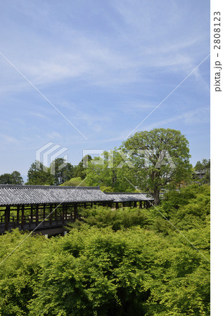 東福寺方丈通天台から通天橋を見る 2808123
