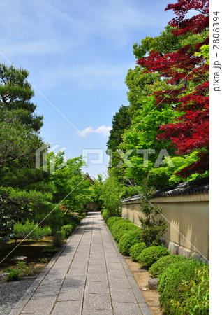 大徳寺 芳春院 大徳寺 芳春院 2808394