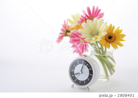 ８時の時計とガーベラ 2808401