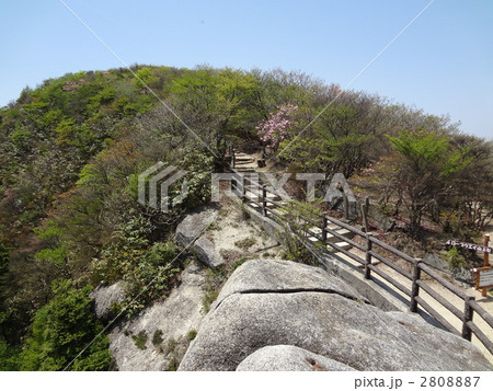 御在所岳山頂 2808887