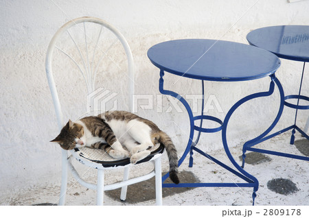 ミコノス島の猫 2809178