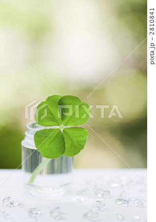 四つ葉とクリスタル 四つ葉とクリスタル 2810841