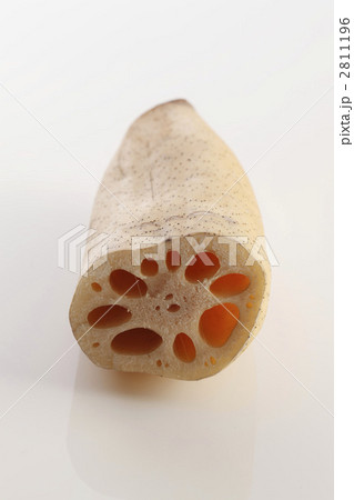 レンコン 2811196