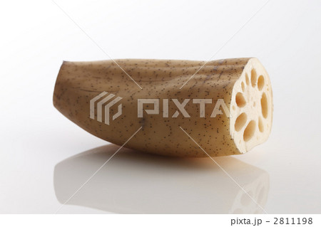 レンコン 2811198