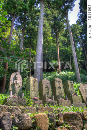 庚申塔と杉林 庚申塔と杉林 2811605