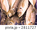 アジ 2811727