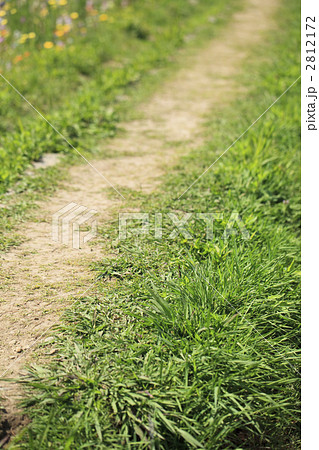 畑のあぜ道 2812172