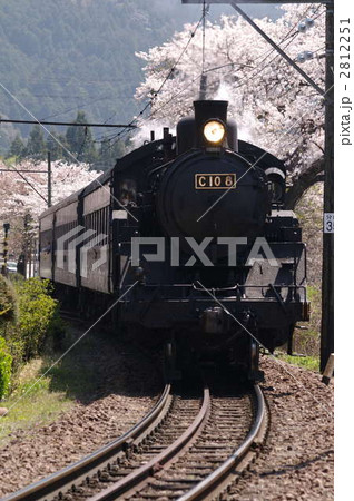 満開の桜を抜ける大井川鉄道のSL 2812251