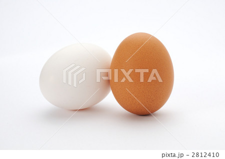 玉子と黄身 玉子と黄身 2812410