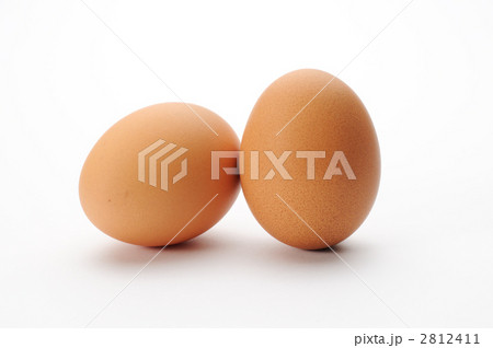玉子 2812411